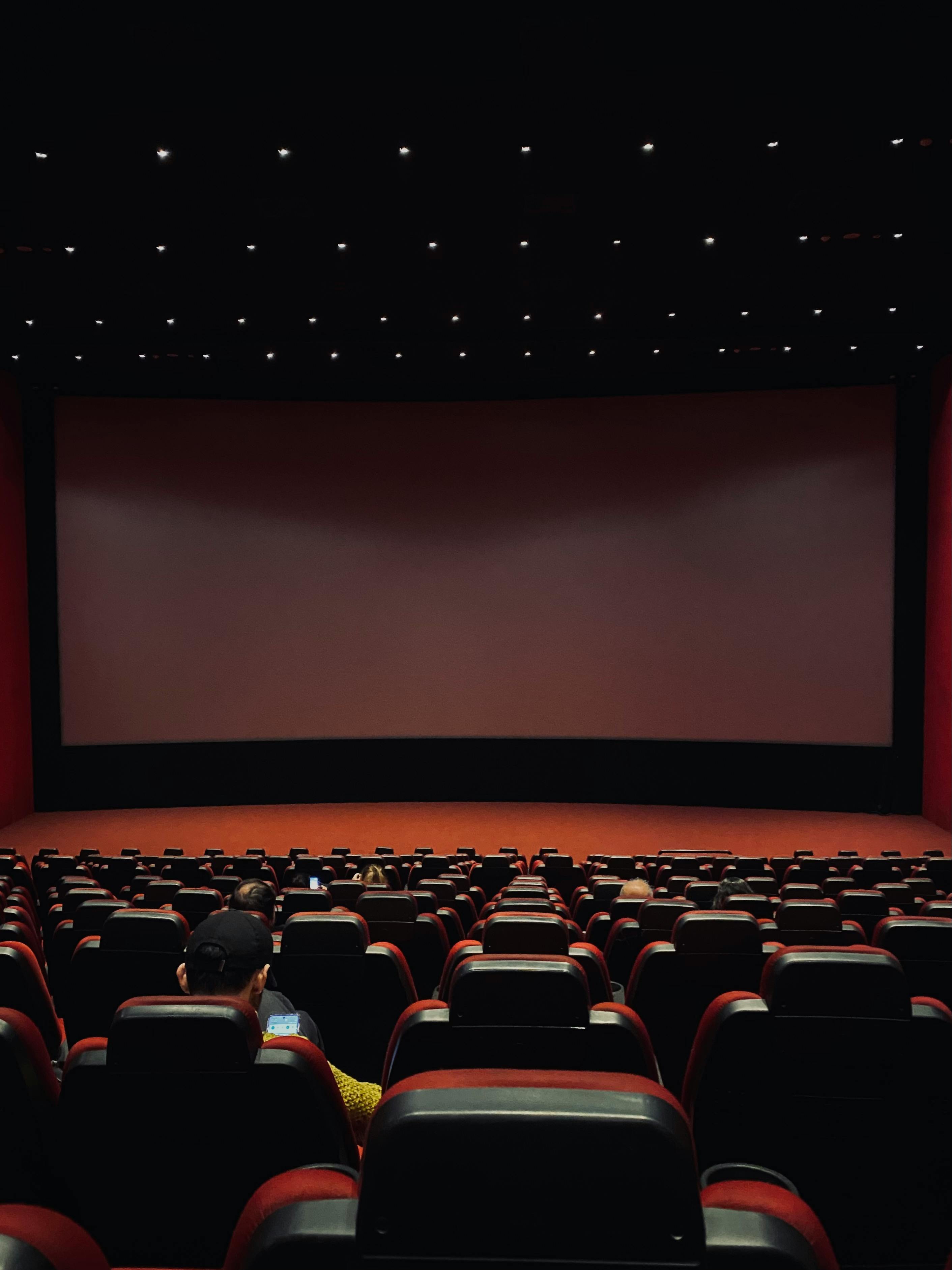 Lietuvos kino industrija